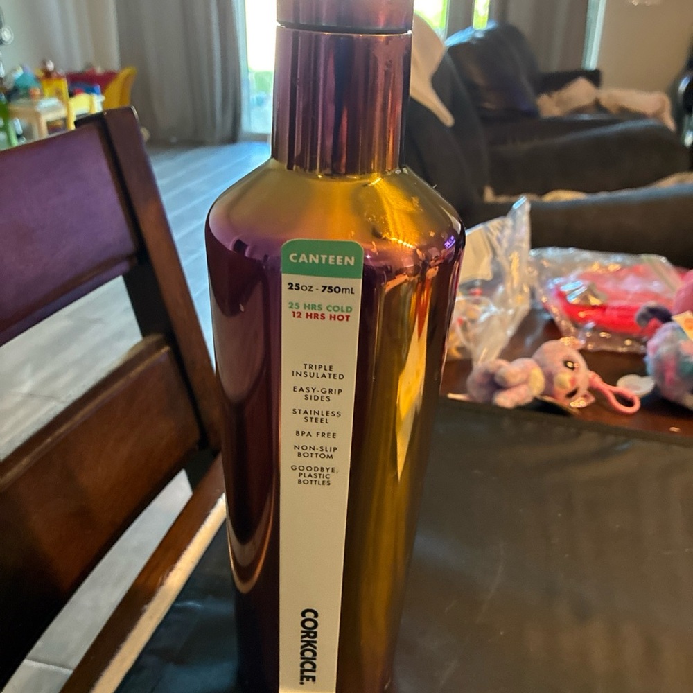 Corkcicle 25oz Insulated Canteen